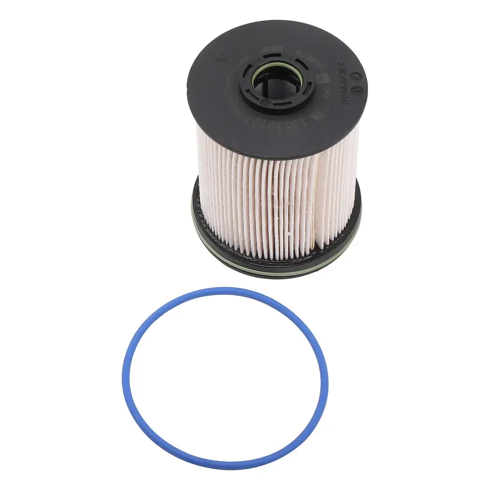 GM Fuel Filters