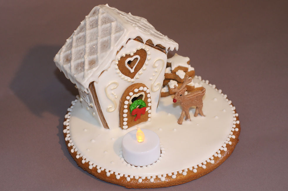 Thumbnail: Sparkly house with Rudolf