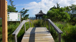 DSC03326.JPG