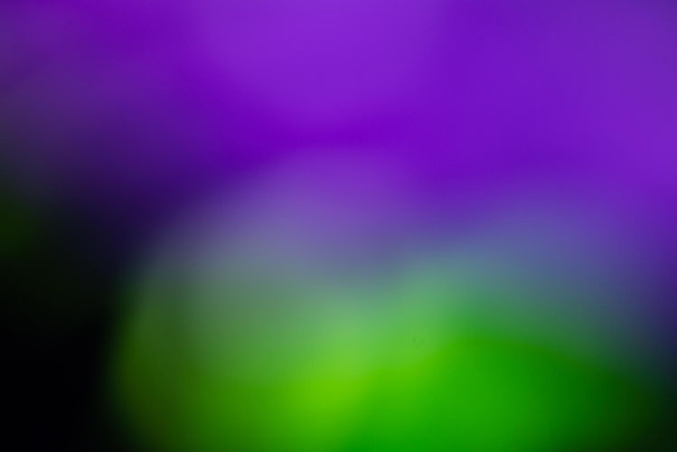 8646.jpg