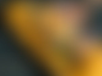 A Taste of Tradition: The Secret Behind Befikre’s Authentic Indian Flavors