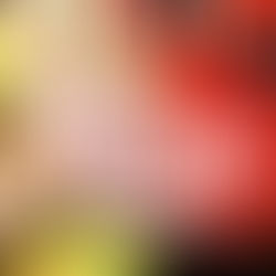 Forgotten Gialli: Volume One