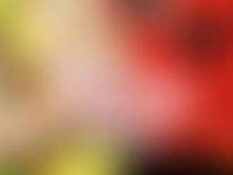 Forgotten Gialli: Volume One