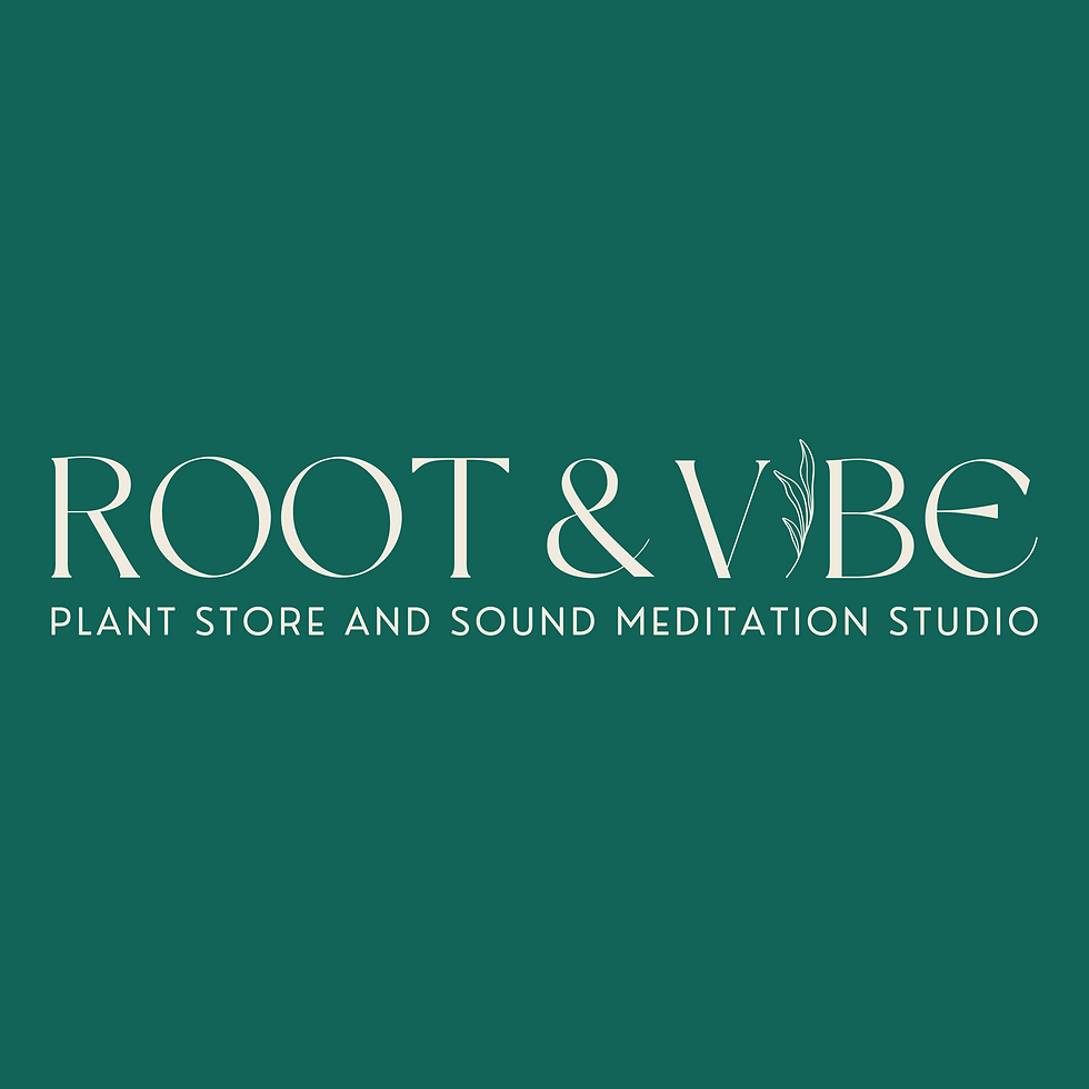 Root & Vibe Plant Store and Sound Meditation Studio