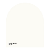 Website Images_White.png