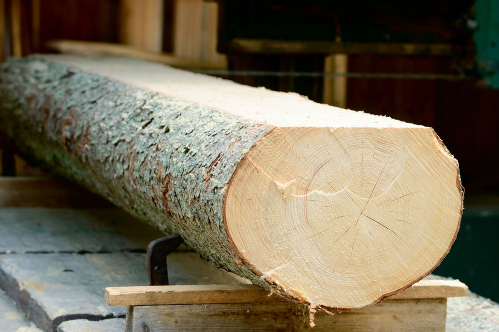 What is Live Edge Wood? AgainstTheGrain