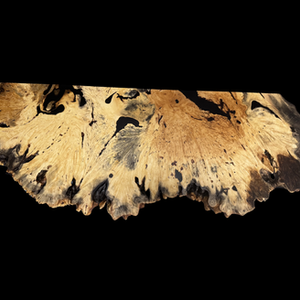 Live Edge Mappa Burl Countertops | AgainstTheGrain | Noblesville Indiana