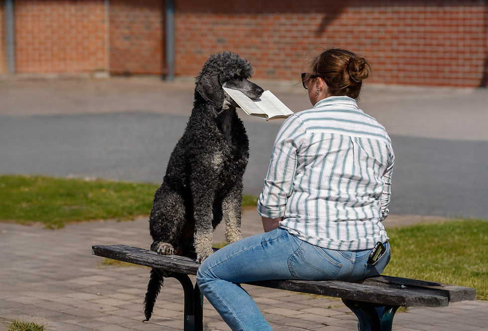 Glen leser med Agnes.jpg