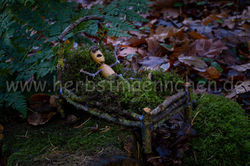 Herbstmännchen (19)