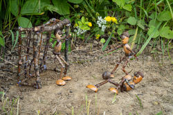 Herbstmännchen (100)