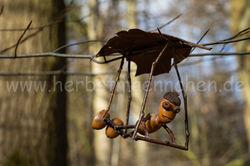 Herbstmännchen (64)