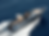BOAT RENTALS