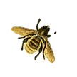 2_.png