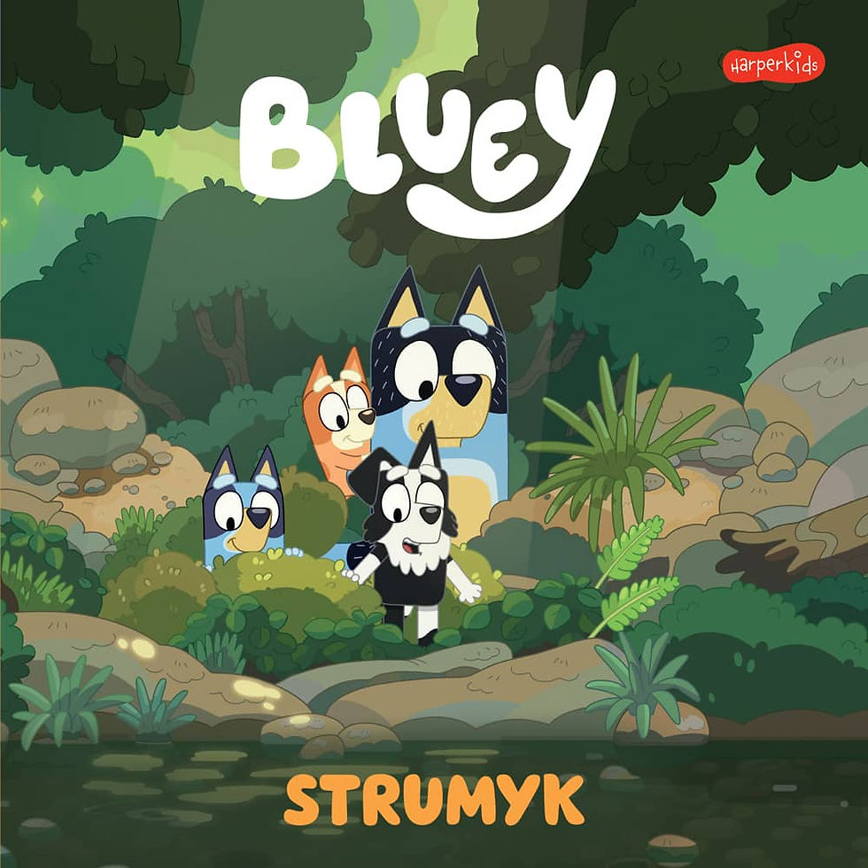 Bluey strumyk early reader Polish kids book USA