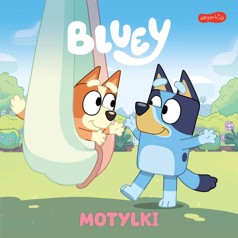 Bluey motylki early reader Polish kids book USA