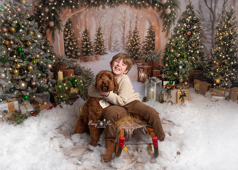 Christmas Photoshoot East Sussex