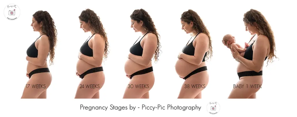 What are the stages of pregnancy? Complimentary Pregnancy Photoshoot