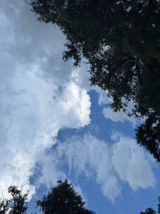 Sunlight breaking through white clouds framed by tall trees, symbolizing spiritual guidance, hope, higher consciousness, mindfulness, and inner peace.
