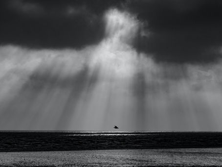 Raise Your Vibrations