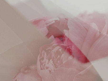 Self Improvement Using The Manifesting Mindset