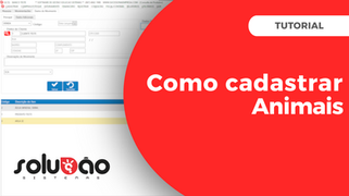 🐾 Cómo registrar un animal (tienda de mascotas) - Solução E.R.P.