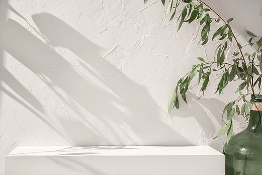 white textured wall , pedestal, green glass vase and plant