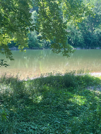  Peaceful view of the South Branch of the Potomac River surrounded by lush green trees, symbolizing intuition, reflection, inner wisdom, and emotional clarity.