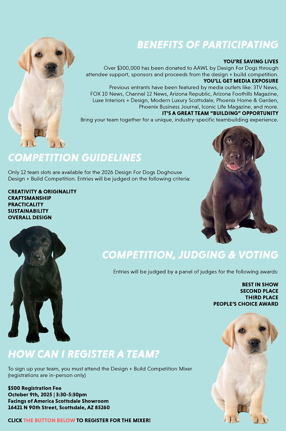 Design For Dogs 2026 - Competition Webpage Graphic (DFD Blue + Font - no title).jpg