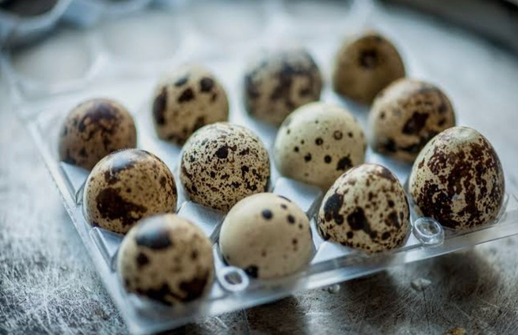 Quail Eggs