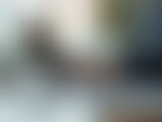 Maximise Cross-Border Brilliance with T.I.N.A