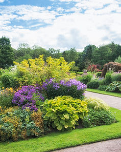 Botanical Garden