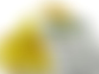 Calculadora de IMC (Índice de Masa Corporal)