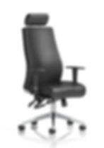 Pluto high back leather chair with headrest main image