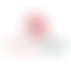 A Comprehensive Guide to Business Insurance