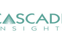 Insights Into Strategic Consulting & Marketing Research