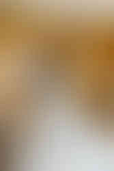 A bride and groom hugging in a wooden room