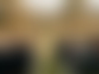 The Complete Guide to Wedding Guest Etiquette: Dos and Don'ts for Every Celebration