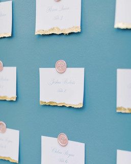 Blue escort wall with wedding guest names