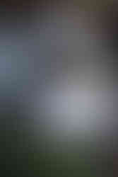 A blue and gold dinner setting with a menu