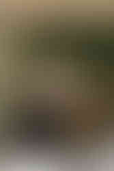 Two musicians playing violin and cello outside