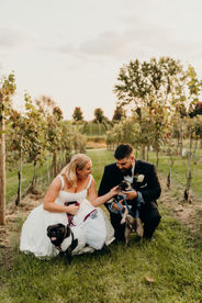 Bride and groom petting their two dogs