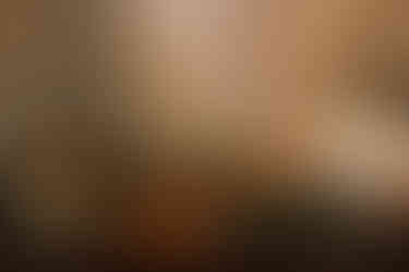 A Christmas wedding buffet table