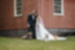 A bride and groom with their two dogs next to a barn outside