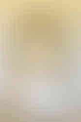 A bride in front of a door outside