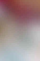 A box of rings surrounded by florals and shoes