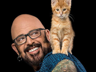 Cats need to go to the vet at least once a year - Just like dogs!