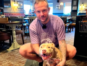 American bully XL owner willing to lose pub job over dog