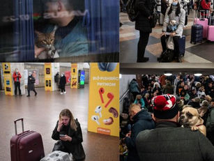 Ukrainian families flee Russian attack, clutching their beloved pets (The Washington Post)