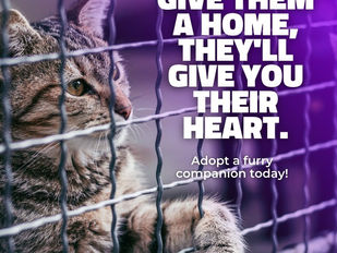 Adoption saves lives!