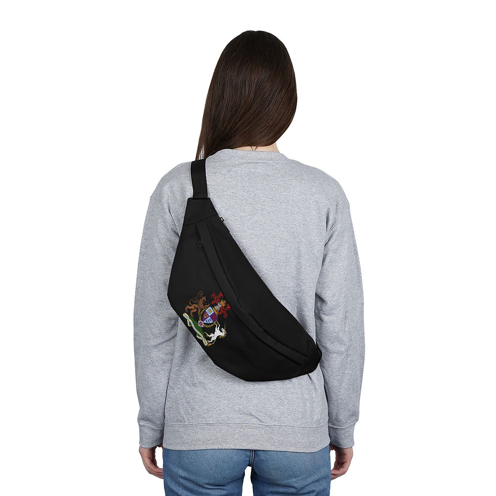Thumbnail: Large Fanny Pack